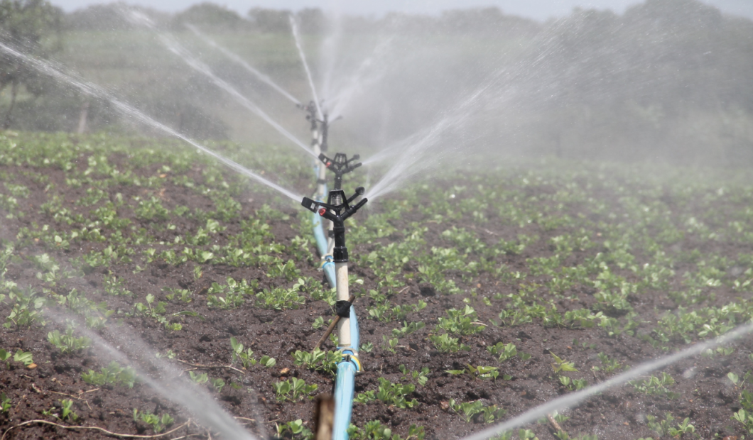 Water Management in Farming: How Smart Irrigation is Solving Global Water Scarcity